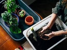 May 22, 2021 · what is the best potting soil for indoor plants? Does Potting Soil Go Bad Hgtv