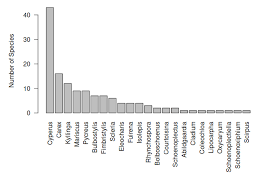 Image result for Courtoisina