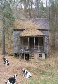 You Ve Heard Someone Say Until The Cows Come Home Well Abandoned Houses Old Abandoned Houses Abandoned Farm Houses