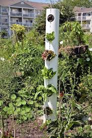 Pin On Vertical Gardens