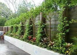 nabogjerde backyard garden garden design backyard garden landscape