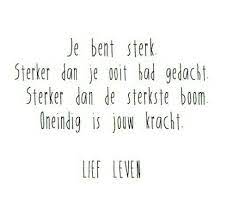 Lief Leven Words Quotes Dutch Quotes Powerful Quotes