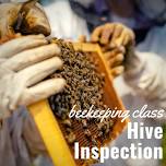 Beekeeping Class - Hive Inspection AUGUST