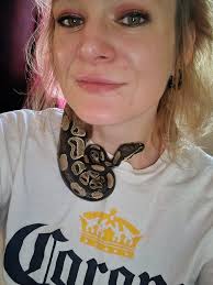 What species of snake is this?