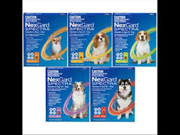 One tablet performs many task. Dog Food And Accessories New Nexgard Spectra For Dogs Puppy Palace Pet Shop 07 3808 2880 For Sale In Underwood Best Puppies Underwood Puppy Palace Underwood Qld