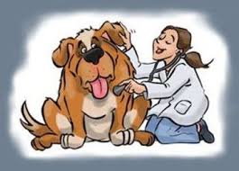 En todas partes del reino se harán dos tipos de medicamentos (चिकित्सा), medicina para las personas y la medicina para animales. Pin En Efemerides De Animales Y Mascotas