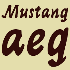Mustang™ pro's distinctive letters set it apart from all other scripts. Mustang Pro Flipfont Para Android Apk Descargar