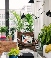 We provide fresh luxury flowers delivered across the uk, order flowers online before 7.30pm for next day delivery. 13 Of The Best Places To Buy Live Plants Online