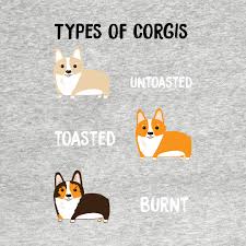 types of corgis by saniday