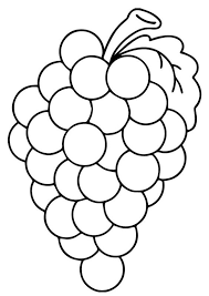 Gambar bima x azazel torga hitam putih untuk diwarnai. Kumpulan Gambar Mewarnai Buah Anggur Anak Tk Dan Paud