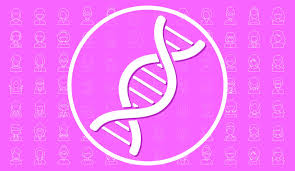 The vast majority of breast cancers are diagnosed in women over the age of 50. Mystery Of Breast Cancer Risk Gene Solved 20 Years After Its Discovery Yale School Of Medicine