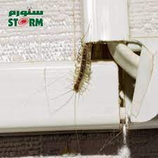 Check spelling or type a new query. Ù…Ø§ Ù‡ÙŠ Ø£Ù… Ø£Ø±Ø¨Ø¹Ø© ÙˆØ£Ø±Ø¨Ø¹ÙŠÙ† ÙˆÙ‡Ù„ Ù‡ÙŠ Ø®Ø·Ø±Ø© Ø¹Ù„Ù‰ Ø§Ù„Ø¥Ù†Ø³Ø§Ù† ÙˆÙƒÙŠÙ ÙŠÙ…ÙƒÙ† Ù…ÙƒØ§ÙØ­ØªÙ‡Ø§ Ø³ØªÙˆØ±Ù… Storm