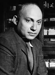 ヨシュア・レダバーグ[22177002272]の写真・イラスト素材｜アマナイメージズ