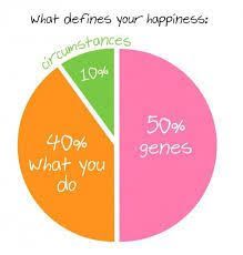 Image Result For Sonja Lyubomirsky Happiness Pie Chart