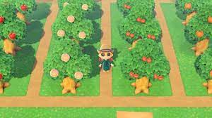 Orchard Fruit Tree Orchard Animal Crossing Fruit Garden Layout Fruit Trees