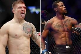 Mike perry vs daniel rodriguez. Ufc On Abc Vettori Vs Holland Fight Card Prediction Preview Date Location Poster Odds Start Time