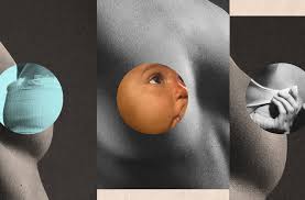 Sarah Thornton Discusses Why Were So Obsessed With Breasts - The New York  Times