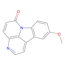 Image result for Geigeria schinzii
