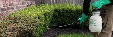 Find bug zapper indoor from a vast selection of weed & pest control. Permethrin 13 3 Solutions Pest Lawn