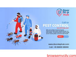 They start from the dirt and for the most part enter structures undetected through concealed pathways. Pest Control Services For Termites Cockroaches Bed Bugs 207092