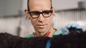 MSPCA-Angell 2021 Year In Review