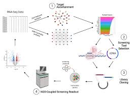Unlock your potential with ubs 2019. An Integrated Pipeline For Mammalian Genetic Screening Rna Seq Blog