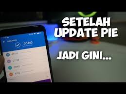 Update Android Pie Asus Zenfone Max Pro M1 Zb601kl Zb602kl Youtube