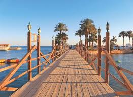 Elegant Travel Agentie De Turism Tg Jiu