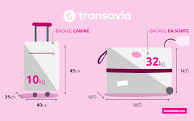 Bagage A Main Et En Soute Transavia Guide Des Bagages Lastminute Com