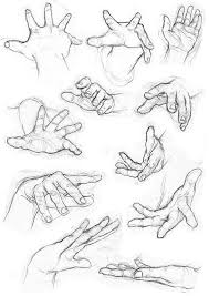 pin by kww yuet on anatomy in 2020 hand drawing reference hand reference sketches