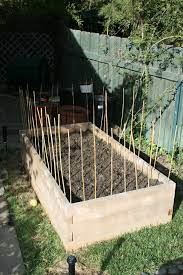 That way, if your dog does get loose. How To Keep My Rascally Dog Out Of My Raised Beds Garden Beds Outdoor Gardens Raised Garden Beds