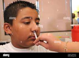 2009 h1n1 hi-res stock photography and images