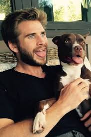 18 Hemsworth brothers ideas