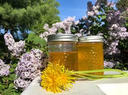 Dandelion honey isn't honey made by bees, but rather it is really dandelion syrup made from the flowers and sugar. How To Make Vegan Dandelion Honey Greenpeace Canada