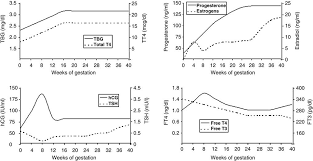 62 Extraordinary Pregnancy Hormones Graph