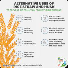 It is known as paira (पैरा) or puaal (पुआल) in hindi. Rice Bio Parks Developed By Father Of Green Revolution Aim To Stop Stubble Burning Air Pollution And Reduce Poverty News