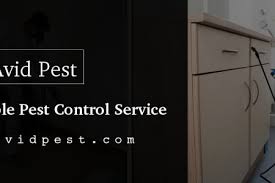 For qualified residential pest control services, you can trust the experts at anypest. Spiders Infographics Visual Ly