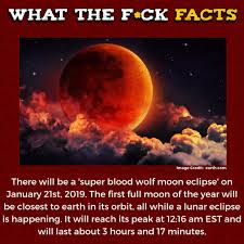 Pin By Jess A On Comics Things Wow Facts Wtf Fun Facts Creepy Facts