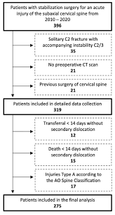 Image result for Subaxial Injury Classification Scale