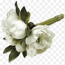 Carnations, daisies, irises, lilies, orchids, roses, sunflowers Sympathy Png Images Pngegg