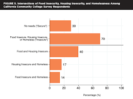 Low food insecurity may be the most common for struggling college students. Executive Summary Real College Survey Says Half Of Ca Community College Students Experience Food Insecurity Los Angeles Regional Food Bank