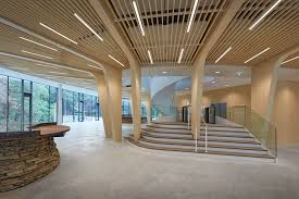 Triodos bank review (july 2021): Buro Triodos Bank In Zeist Rau Architekten Kathedrale Aus Holz Arcguide De