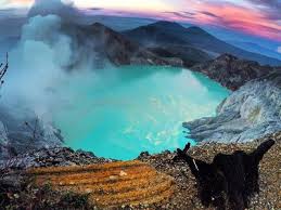 Unduh sumber grafik gratis dalam bentuk png, eps, ai atau psd. Bromoguide Tour Mountbromoguide Profil Pinterest