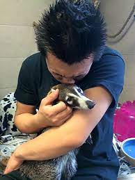 Pet store · pet supplies · pet service. Lodi Pet Store Specializes In Exotic Creatures Garfield Lodi Daily Voice