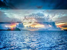 For more than 20 years, the msc has been working to safeguard our ocean for future generations. Happy World Ocean Day
