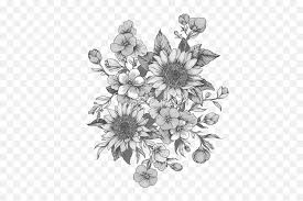Check spelling or type a new query. White Flowers Png Clip Free Library Black And White Sunflower Drawing Black And White Flower Png Free Transparent Png Images Pngaaa Com