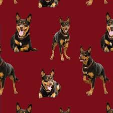 For spare parts enquiries and orders, speak to one of our experienced consultants. Merino Muster Australian Kelpie Dogs Red K