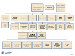 Particular Hilton Hotel Organisational Chart Organizational