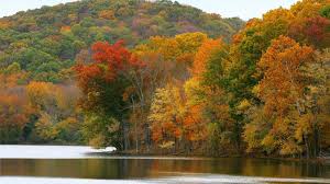 Pin On Nature Scenes Search free nashville tn wallpapers on zedge and personalize your phone to suit you.