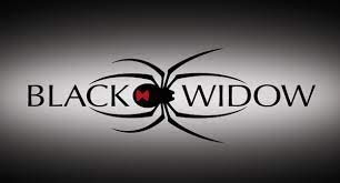 Black Widow New Logo Free Images At Clker Com Vector Clip Art Online Royalty Free Public Domain Black Widow Black Widow Spider Black Widow Symbol